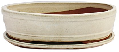 exotenherz Bonsai-Schale mit Unterteller Gr. 5 - Hellbeige - oval - Modell O7 - L 31cm - B 24cm - H 7,5 cm