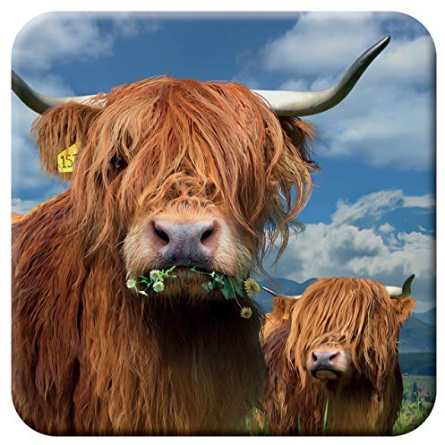 3D LiveLife Posavasos de Corcho - Vaca Escocesa de Deluxebase. Posavasos de Corcho de Vacas Lenticular 3D, con Ilustraciones Originales con Licencia del reconocido Artista David Penfound