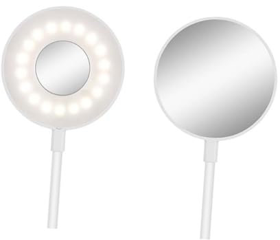 VICASKY Lampe LED de Bureau Rechargeable USB Lampe de Table avec Pince Orientable Réglable Hauteur pour Lecture et Maquillage