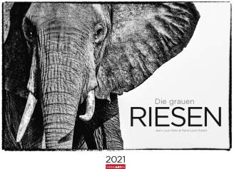 Die grauen Riesen - Kalender 2021- Weingarten-Verlag - Wandkalender mit fantastischen schwarz-weiß Fotos - 67,8 cm x 48,8 cm