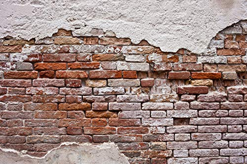 ZIEGELWAND Fototapete VLIES-500x280 cm (2652A)-Steinwand Textur Holzwand Kiesel Backstein Wandtapete-Inkl. Kleister-Vliestapete Bild Dekoration Wand-Dekor Moderne Motiv-Tapete Panorama Poster XXL