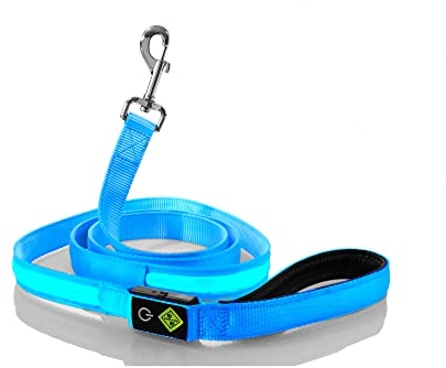 Rockro LED Hundeleine 180 cm USB wiederaufladbar Leuchtend wasserdicht - Perfekte Ergänzung für alle Leuchthalsbänder - Kleine und Große Hunde (Blau)