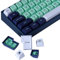 JakeTsai Tastenkappen, 172 Tasten SA Profil Double Shot Tastenkappen-Set mit 2.75u, 3u, 6.25u und 7u Leertaste für Cherry Mx Switches ISO ANSI Layout mechanische Tastatur