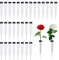 Qutsvosh Blumenröhrchen 50 Stück Kunststoff Blumenröhrchen für Blumen Wiederverwendbare Blumen Wasserröhren