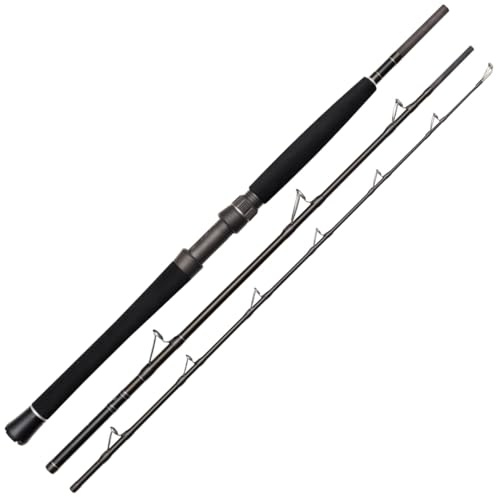 Westin W2 Boat 7' / 210cm XH 150-400g - Spinnrute, Bootsrute, Hochseerute, Schwere Rute zum Hochseeangeln
