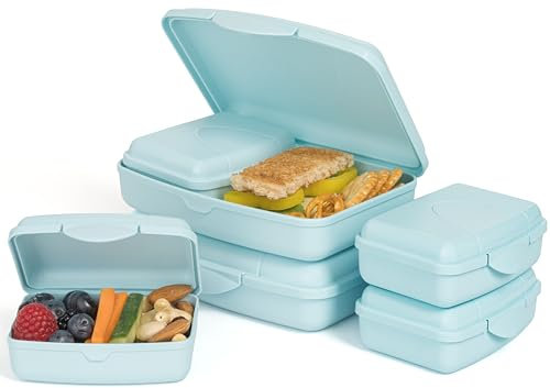Hausfelder Brotdose flach mit Fächern, Jausenbox, Vesperbox, Brotdosen Set (LimeGreen, 6er Set)