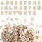 JIYIN 208 Stück Kleine Holzbuchstaben 15mm, Buchstaben Holz Unbearbeitete Holz Buchstaben Deko Geeignet für Frühes Lernen Dekoration DIY Bastelprojekte