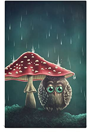Mnsruu Niedliche Pilz-Eule Vogel Küchentücher Geschirrtuch Geschirrtuch Geschirrtücher 1 Packung super saugfähig weich 45,7 x 71,1 cm