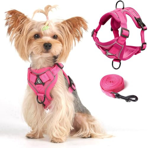 Cat Harness and Leash Set Weste Geschirr Leinen Set für kleine Hunde Große Katzen, Katzen Geschirr Ausbruchsicher, Verstellbare Jacke mit Leine für Dicke Katzen,Netzmantel Reflektorstreifen, XL Rosa