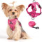 Cat Harness and Leash Set Weste Geschirr Leinen Set für kleine Hunde Große Katzen, Katzen Geschirr Ausbruchsicher, Verstellbare Jacke mit Leine für Dicke Katzen,Netzmantel Reflektorstreifen, XL Rosa