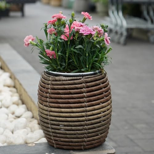 Carbeth Plants Mica Plant Pots - Stylish Dark Brown Rattan Cane Effect Planters - Contemporary Design Ideal for Indoor & Outdoor Use - Available in Small, Medium & Large Sizes (Small)