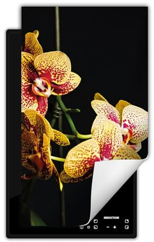 DarHaus Herdabdeckplatte 1 teilig 30x52 cm Küche Herdabdeckung Ceranfeld Herdabdeckplatten Anti Rutsch Matte Aufrollbar, schwarz - Orchidee