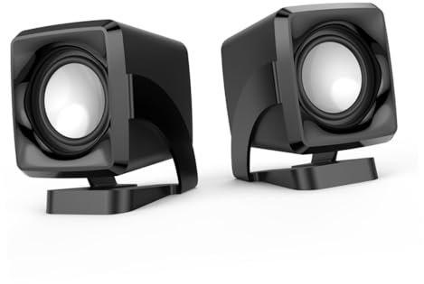 Lurrose Lot De 2 Mini Haut-Parleurs pour Ordinateur Portable Haut-Parleur Multimédia Noir