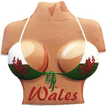 3D Wales Flag Bikini Refrigerator Fridge Magnet Tourist Souvenirs Handmade Resin Craft Magnetic Stickers Home Kitchen Decoration Travel Gift