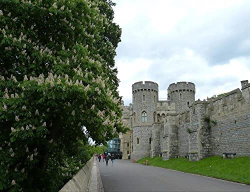HANSEPUZZLE 22876 - Windsor Castle Puzzle 1000 Teile | Reisen Puzzle mit hochwertiger Puzzle Aufbewahrung: Kartonbox und Wieder verschließbarem Beutel | Puzzle-Maße: 60 x 46 cm