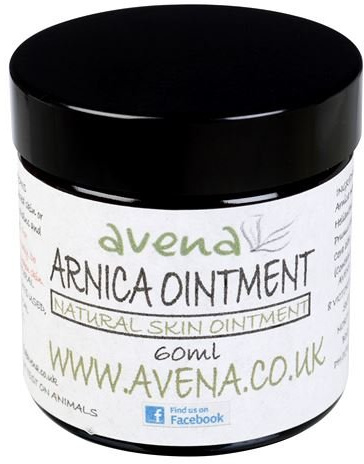 Arnica Ointment - a wonderful natural beauty treatment - 120ml Jar