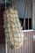 Harry's Horse Heunetz Heavy Duty 10cm 60x100cm, Farbe:Navy, Größe:60 * 100cm
