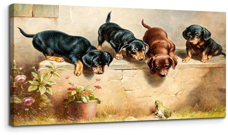 MHARTK66 Neugierige Dackelwelpen und Ein Frosch Leinwand Bilder, 50x100 cm Groß Wandbilder Wohnzimmer Hund Bild Aesthetic, Modern Tier Wanddeko Kunstdruck Schlafzimmer Badezimmer Büro Esszimmer Küche