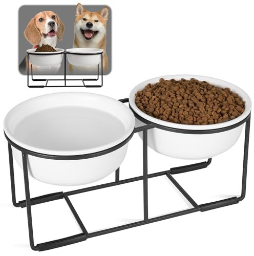 Ceramic Elevated Dog Bowl Set - Double Dog Bowls with Non-Slip Metal Stand - Raised Dog Food and Water Bowl Set - Dog Feeding Bowls - Ideal for Small and Medium Dogs - 2 Cups - 27 fl oz - Matte White
