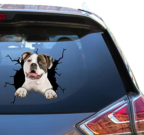 American Bully Auto Aufkleber American Bully Aufkleber Transparent Fahrzeug Aufkleber für Männer Wasserdicht Autos