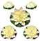 Zasvec Schwimmende Blumen 5 Stück Künstliche Seerosen Schwimmend Seerose Klein Seerose Lotusblüte Simulation Schwimm Teich Lotus Künstliche Blumen für Garten Pool Teich, 10/17/28cm, Weiß