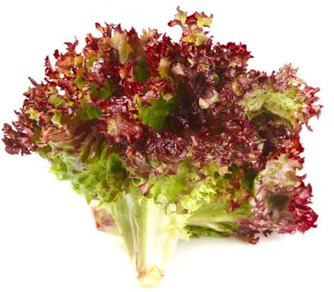 1000 Piezas Semillas De Plantas De Lechuga - Lactuca Sativa - Semillas De Lechuga Cortadas, Balcón Vegetal, Balcón Jardín Recogiendo Lechuga, Semillas De Lechuga, Semillas De Lechuga