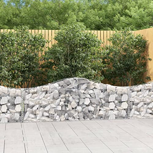 Youuihom Fioriere Da Parete Letto Per Orto Orto Rialzato Orto Terrazzo Fioriere Cesto Gabbione ad Arco 200x30x60/80 cm Ferro Zincato Adatto per Patio, giardini, balconi, esterni