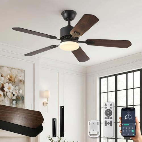 SXQYSM Ventilatore da Soffitto con Luce e Telecomando, Ventilatore a LED Silenzioso e Dimmerabile, 6 Velocità, 5 Pale, Lampada-Ventilatore per Camera da Letto e Soggiorno (Nero, 106CM)