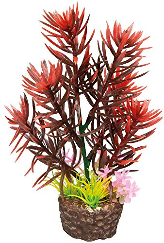 Hobby Aquaristik Kunstpflanze Flora Stone 2 I Täuschend echt aussehend I 4 x 13 cm