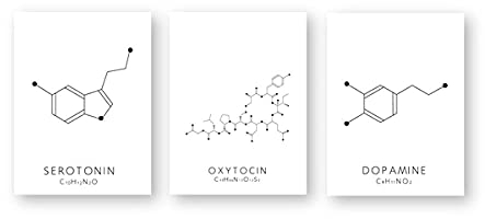 Oxytocin und Dopamin Strichzeichnung Poster Molekül Serotonin Wandkunst Leinwand Malerei Chemie Wissenschaft Bild Dekoration Ungerahmt-40X50cmX3