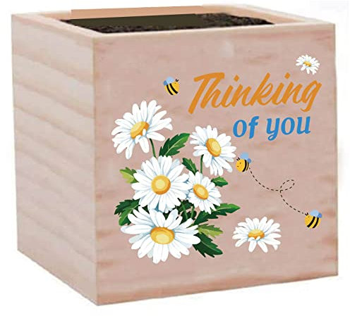 CREATCABIN - Maceta de Madera con Margaritas, Cubo, Maceta Cuadrada, Pequeña, Rústica, Decoración de Escritorio para el Hogar, Decorativa para Jardín, Interior, Exterior, Plantas, Profesores, Padres,