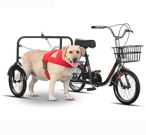 PRUJOY Haustierwagen, Fahrrad, Dreirad, Kreuzfahrt-Dreirad, Singlespeed, multifunktional, Hundewagen, Körbe vorne und hinten, großes Fassungsvermögen, Park (Black)