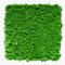 HORI® Mooswand | Wandpaneele aus Moos | Natur Wandverkleidung innen | Moosbild | Akustikpaneele 50 x 50 cm