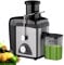 Centrifuga Estrattore di Succo 800W, Centrifuga Frutta e Legumi a 2 velocità, Becco antigoccia, Senza BPA, Pulizia Facile, Piedi Antiscivolo, Bocca larga, Motore Silenzioso
