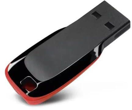 Clé USB 256 Go, Haute Vitesse, Design Compact Noir et Rouge (256, GB)