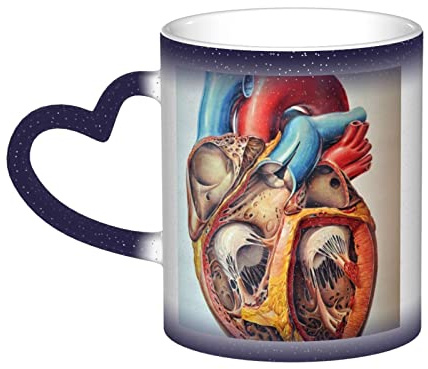 ASEELO Human Anatomy Heart Chart Color Changing Mugs Ceramic Coffee Mug Thermal Ceramic Tea Cups Gifts For Family And Friends