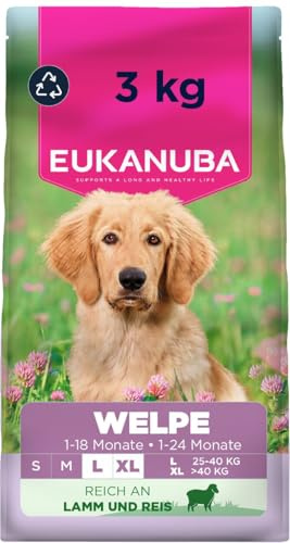 Eukanuba Welpenfutter mit Lamm und Reis für große Rassen - Premium Trockenfutter für Junior Hunde, 3 kg