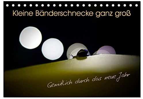 Kleine Bänderschnecke ganz groß - Gemütlich durch das neue Jahr (Tischkalender 2026 DIN A5 quer), CALVENDO Monatskalender: Ein genauer Blick auf die ... an außergewöhnlichen Orten (CALVENDO Tiere)