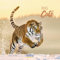 Big Cats 2022: Broschürenkalender mit Ferienterminen. Bilder von Raubkatzen. 30 x 30 cm