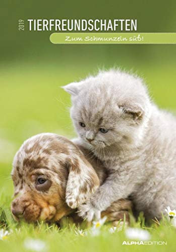 Tierfreundschaften 2019 - Animal Friends - Bildkalender (24 x 34) - Tierkalender: Zum Schmunzeln süß!