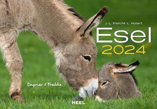 Esel Kalender 2024: Der Tierkalender mit den charmanten Namen