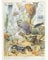 Artery8 Millot Encyclopedia Page Ocean Animals Unframed Wall Art Print Poster Home Decor Premium