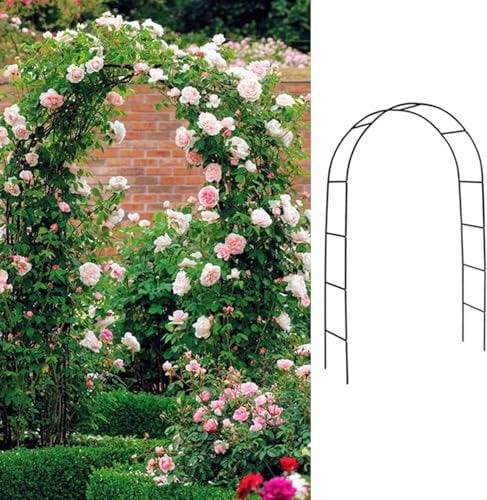 Gartenbogen aus Metall für Kletterpflanzen im Freien und Terrasse