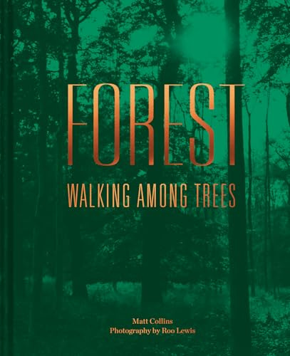 Forest: Walking among trees