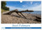 Insel Fehmarn - Impressionen eines Sommertages an der Ostsee (Wandkalender 2025 DIN A4 quer), CALVENDO Monatskalender: Fotos der Insel Fehmarn vom Strand bis zur Mole (CALVENDO Natur)