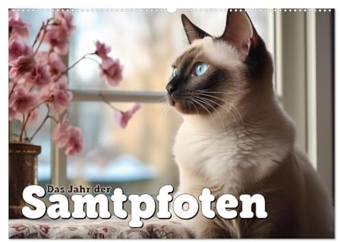Das Jahr der Samtpfoten (Wandkalender 2026 DIN A2 quer), CALVENDO Monatskalender: Stilsicher zeigen sich unsere lieben Samtpfötchen (CALVENDO Tiere)