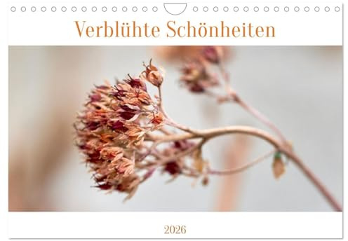 Verblühte Schönheiten (Wandkalender 2026 DIN A4 quer), CALVENDO Monatskalender: Die Ästhetik verblühter Pflanzen (CALVENDO Natur)