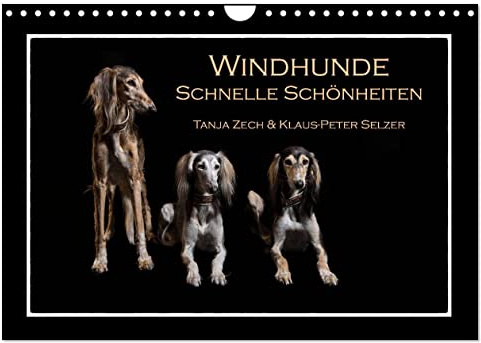 Windhunde - Schnelle Schönheiten (Wandkalender 2026 DIN A4 quer), CALVENDO Monatskalender: Überblick über diverse Windhundrassen, fotogrfaiert im ... mal nicht auf der Rennbahn (CALVENDO Tiere)