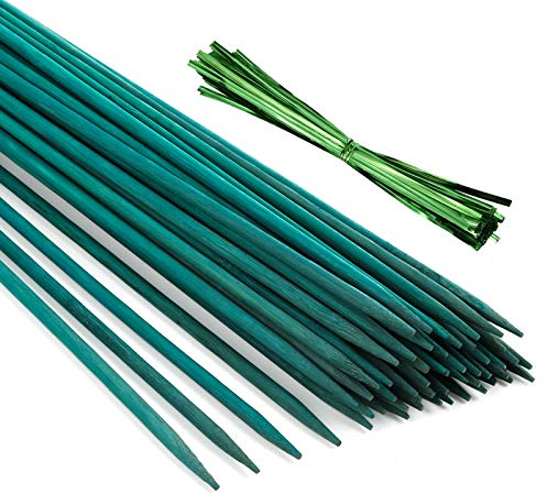 Pllieay 30PCS 30CM Bâtons de Bambou Vert avec 60 pièces de Liens torsadés métalliques Verts, pieu de Plante en Bois Vert, Pics Floraux, bâton de Jardin en Bois, bâton de Plante