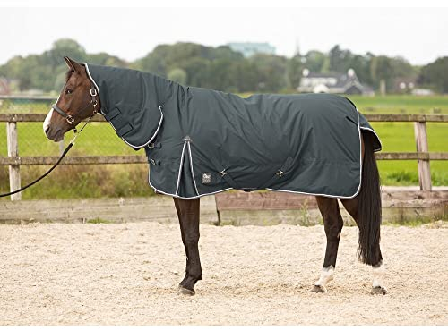 Harry's Horse Outdoordecke Thor 200gr mit Halsteil für Pferde, Decke mit Kragen, Polyester, Outdoor-tauglich, Alle Jahreszeiten, Alle Altersstufen